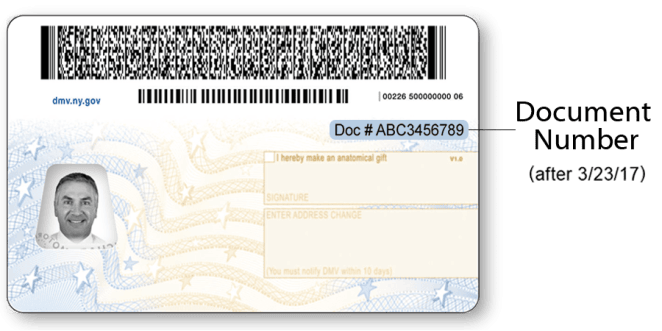 Sample NYS Standard Driver License after March 23, 2017 – Back Sample NYS Standard Driver License after March 23, 2017 – Back