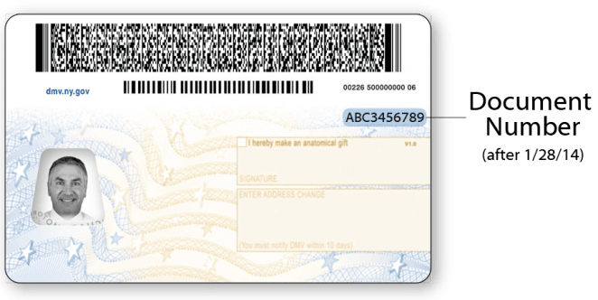 Sample NYS Standard Driver License after January 28, 2014 – Back Sample NYS Standard Driver License after January 28, 2014 – Back