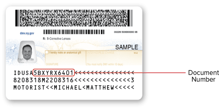 NYS Enhanced ID Driver License - Back Sample NYS Enhanced ID Driver License - Back
