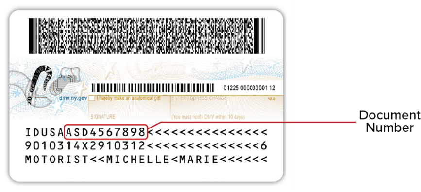 NYS Enhanced Driver License 2022 - Back This image is the back of the NYS Enhanced Driver License released 3/10/22. It shows the document number toward the bottom after ‘IDUSA’
