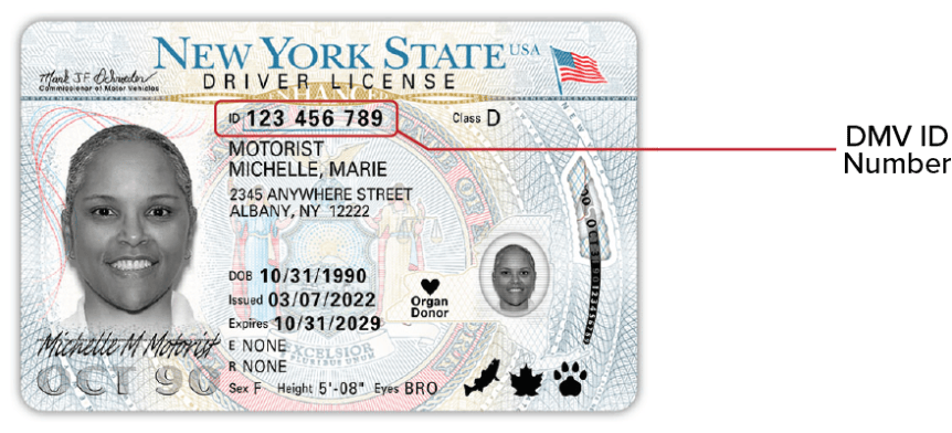 NYS Enhanced Driver License 2022 - Front This is an image of the front of the NYS Enhanced Driver License released 3/10/22. The DMV ID number is toward the top, close to the center.