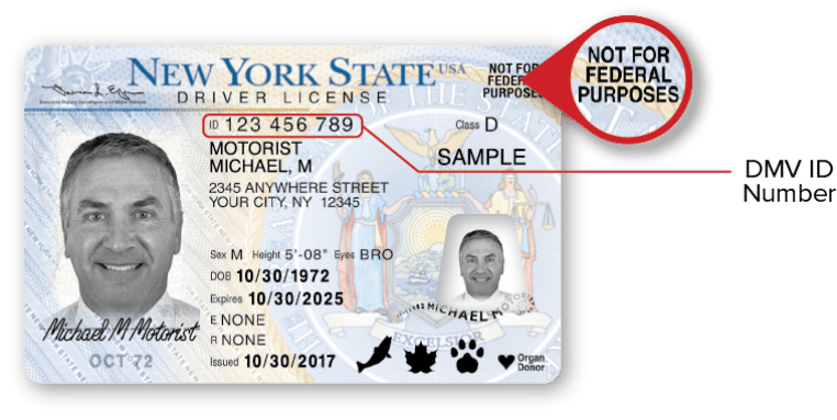 Sample NYS Standard Driver License – Front Sample NYS Standard Driver License – Front
