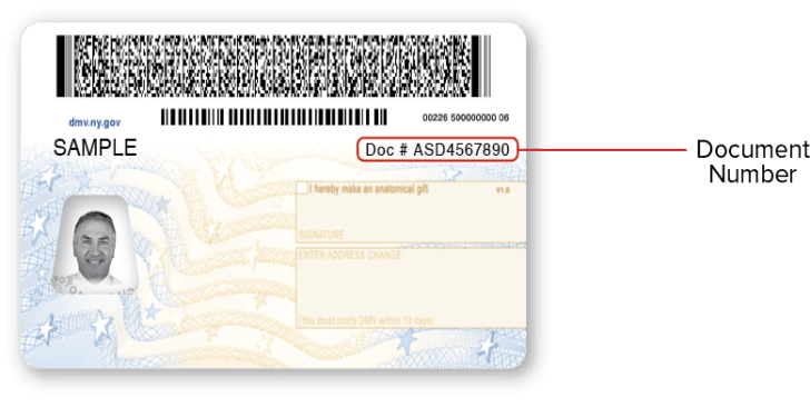 NYS REAL ID Driver License - Back Sample NYS REAL ID Driver License – Back