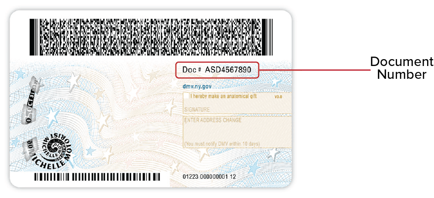 NYS REAL ID 2022 - Back This image is the back of the NYS REAL ID Driver License released 3/10/22. It shows the document number along the right side.