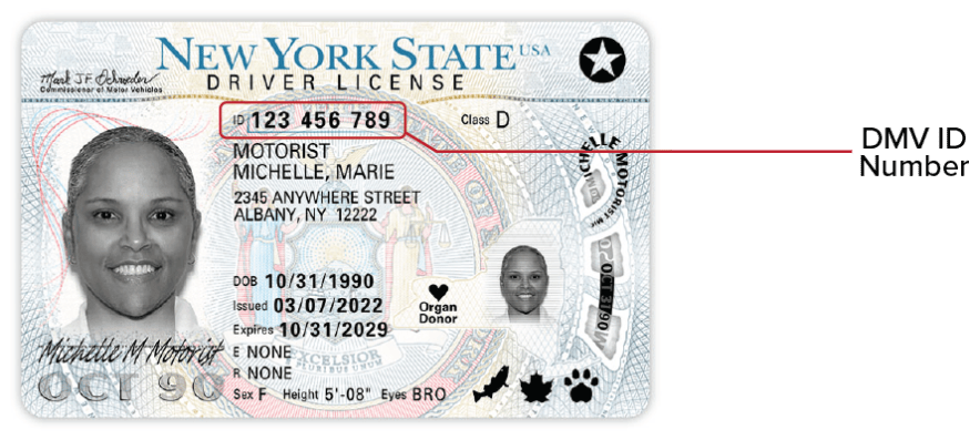 NYS REAL ID 2022 - Front This image is the front of the NYS REAL ID Driver License released 3/10/22. The DMV ID number is toward the top, close to the center.