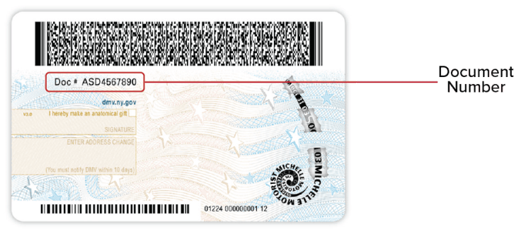 NYS Standard Driver License 2017 - Back This image is the back of the Under 21 NYS Driver License released 3/10/22. The document number is toward the top, on the left side..