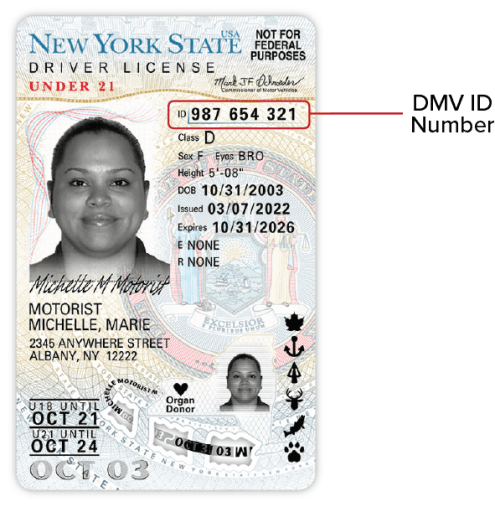 Under 21 Driver License 2022 - Front This image is the front of the Under 21 NYS Driver License released 3/10/22. The DMV ID number is toward the top, on the right side.