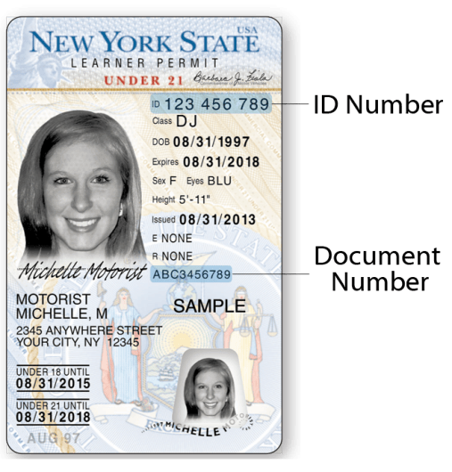 Under 21 NYS Learner Permit – Front Under 21 NYS Learner Permit – Front
